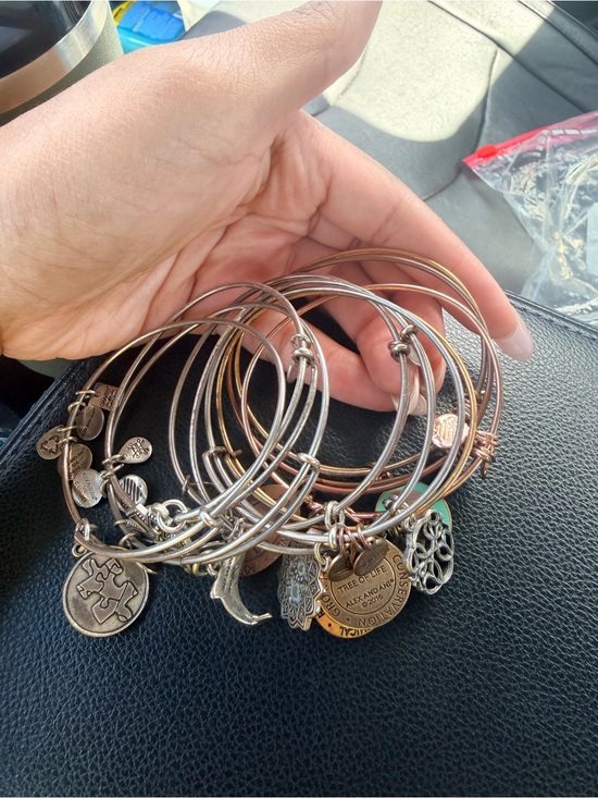 Alex and Ani Jewelry - Alex and Ani Mixed Metal Charm Bangle Set in Silver and Rose-Gold Tones